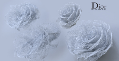 The Frosen Rose-Dior VR
